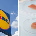 Salmonella w mięsie z Biedronki i Lidla! Sprawdź, czy nie masz go w domu