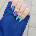 Magiczny kameleon