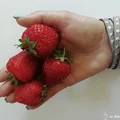 SZYBKIE DANIA Z TRUSKAWKAMI – 8 propozycji