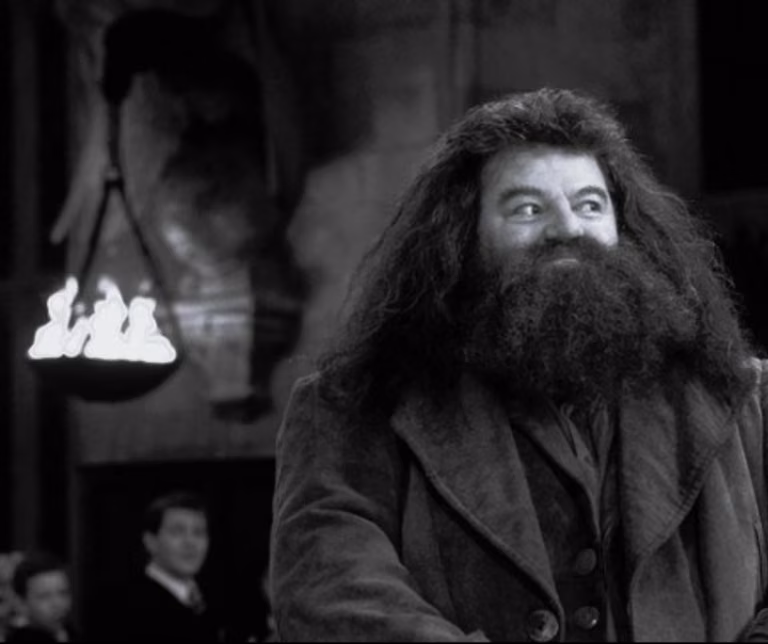 Aktor znany z  filmów o Harrym Potterze nie żyje!