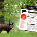 Pracownicy parku narodowego ostrzegają przed groźnym wirusem! Rozprzestrzenia się w zastraszającym tempie!