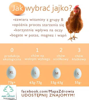 Jak wybrać jajko