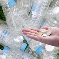 Tyle dostaniemy za zwrot plastikowej butelki! Podano kwotę!