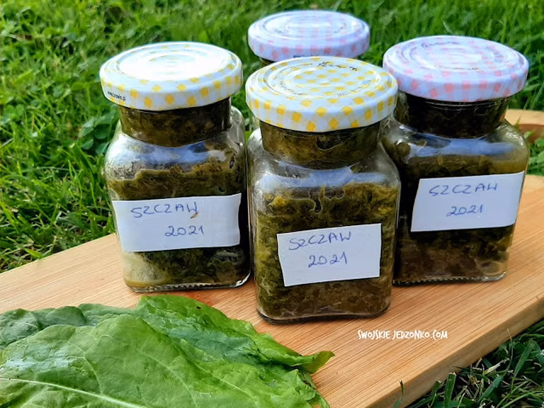 Szczaw na zimę do słoików
