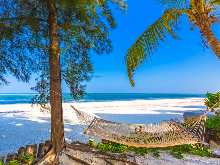 Zapraszał gwiazdy na wakacje na Zanzibar. Teraz ściga go sąd i policja! Wystawiono list gończy