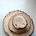 DIY :drewniane plastry podkładki