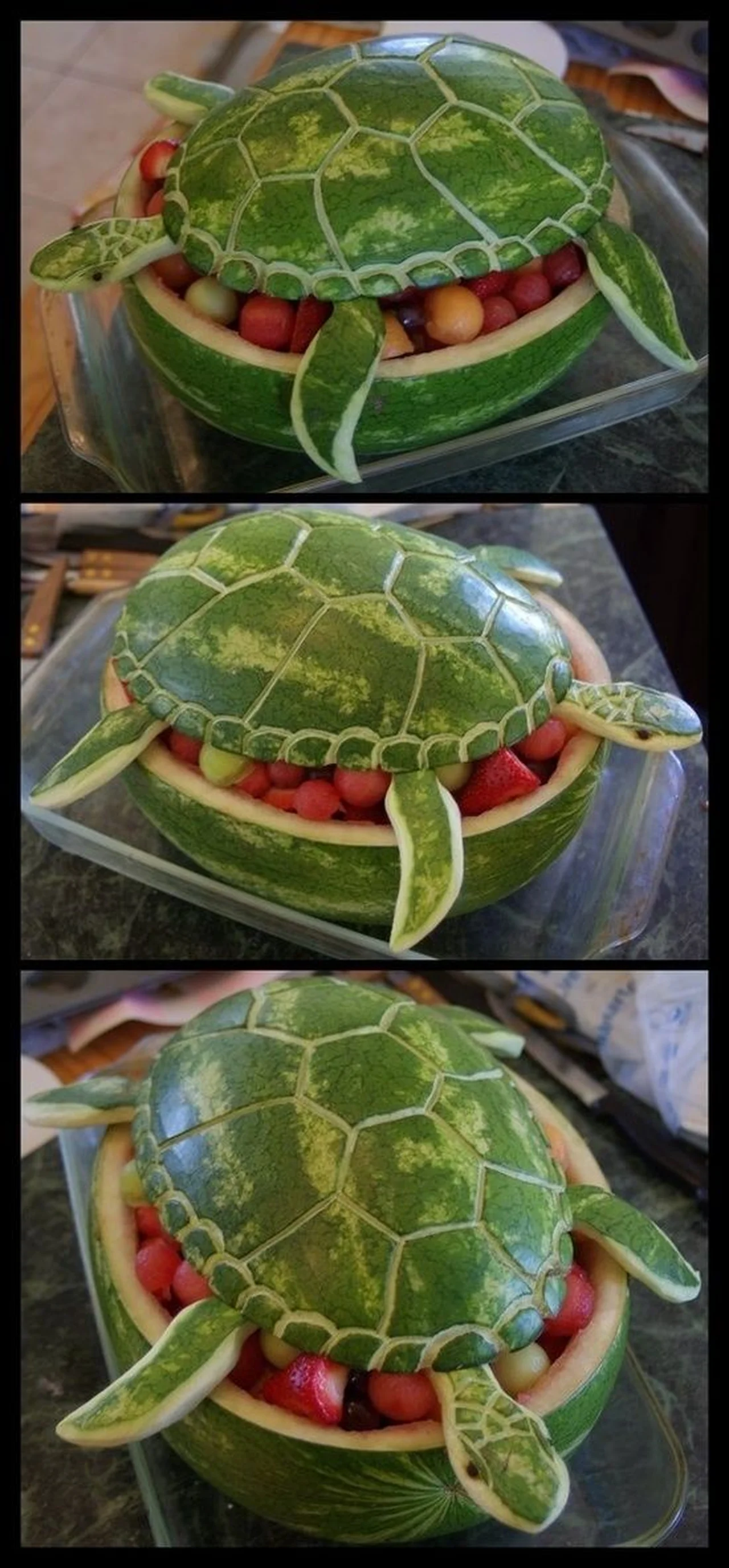 Owocowy żółwik