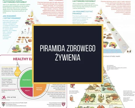 Piramida Żywieniowa