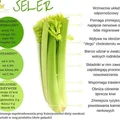 Seler - właściwości