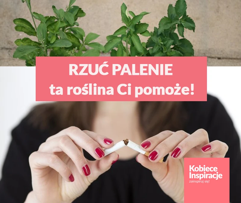 Chcesz rzucić palenie? Ta roślina Ci w tym pomoże!