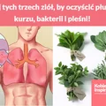 Użyj tych trzech ziół, by oczyścić płuca z kurzu, bakterii i pleśni!