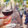 Co się stanie, jeżeli będziesz pić lampkę wina dziennie?
