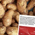 Ostrzeżenie GIS: popularne ziemniaki wycofane z Lidla. Sprawdź, czy masz je w domu