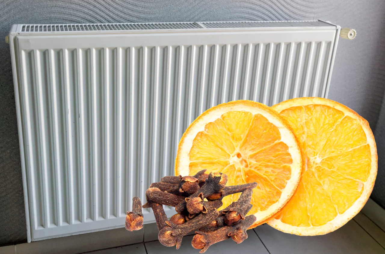Połóż plasterki pomarańczy z goździkami na kaloryferze. Twój dom pachnie jak święta, a powietrze będzie czystsze!