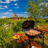 Grill w letnim ogrodzie