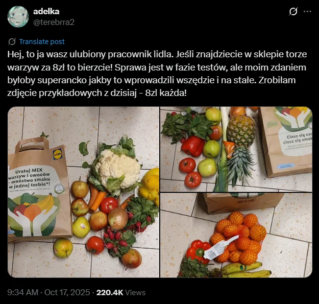 Zdjęcie W Lidlu pojawiły się tajemnicze torby niespodzianki za 8 zł! Nowa akcja "Uratuj MIX" zachwyciła klientów #3