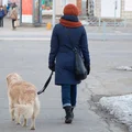 Czy na L4 można wyprowadzać psa? Co wolno w 2026 roku?