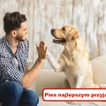 Dlaczego warto mieć PSA?