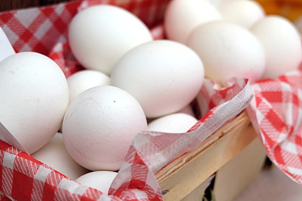 Jak przechowywać jajka, aby zachowały świeżość