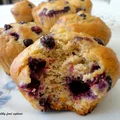 Fit muffinki bananowe z borówkami