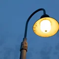 Zaskakujące odkrycie naukowców: Nocne światło równie groźne jak smog!