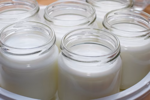 Jak zrobić domowy jogurt?