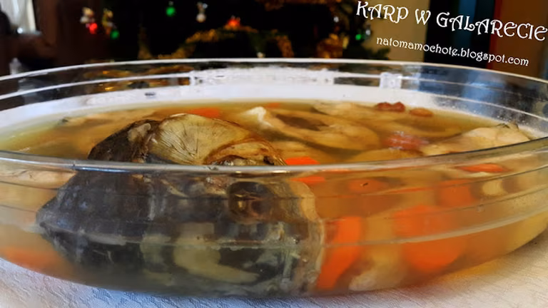 Karp w Galarecie