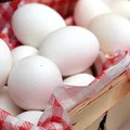 Jak przechowywać jajka, aby zachowały świeżość