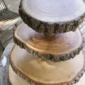 Patera ogrodowa