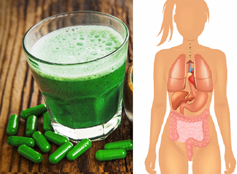 Chlorella (glony morskie) – kilka powodów, dla których warto je jeść