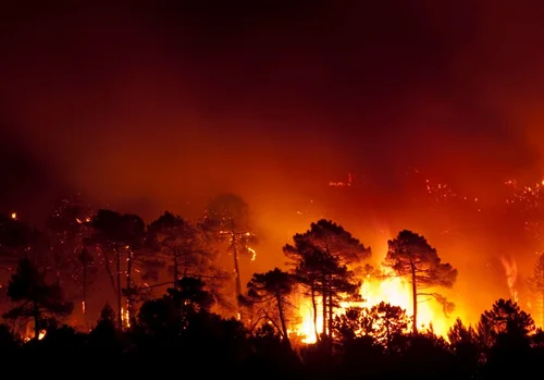 Pożary lasów pustoszą południową Europę! Ewakuowano ponad tysiąc turystów!