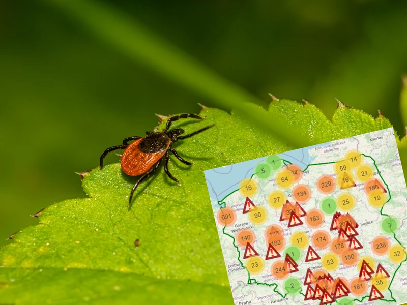 Mapa zagrożeń! Tych miejsc lepiej unikać. NFZ apeluje o ostrożność