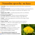 Naturalne sposoby na zwalczanie kaca