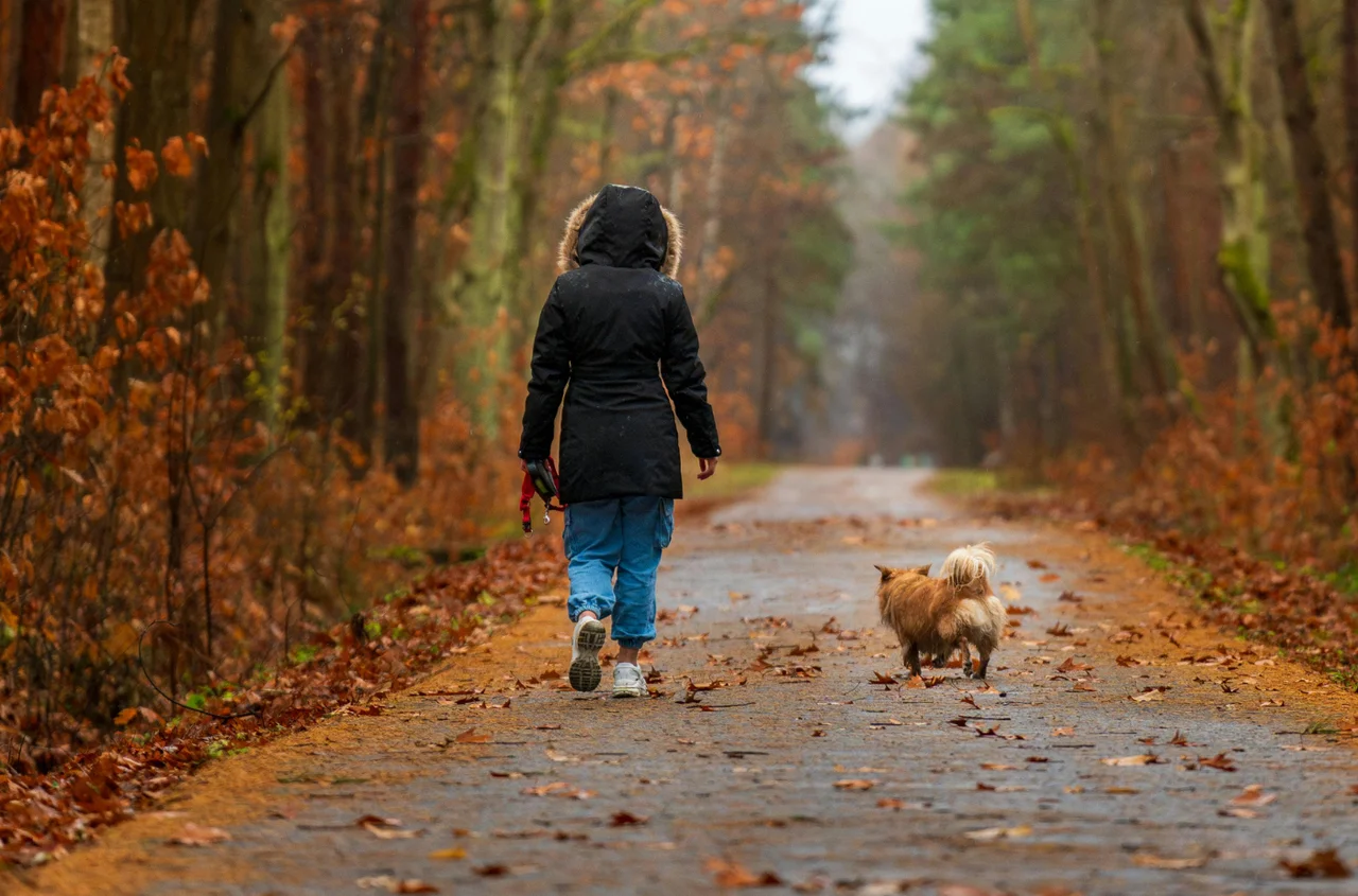 Minusowe temperatury już w tym tygodniu! Ci mieszkańcy Polski muszą szykować się na przymrozki i przygotować grube kurtki