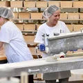 Rewolucja w umowach nawet tych na czas określony! Pracownicy w wieku 55+ czekali na te zmiany od lat - skorzystają tysiące osób