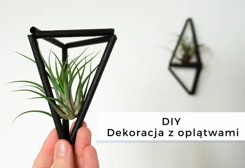 DIY Dekoracja z oplątwami • origamifrog.pl