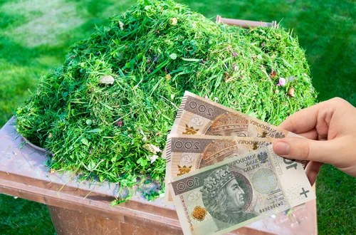 Skoszona trawa to nie śmieć! Uwaga  można dostać nawet 500 zł mandatu!