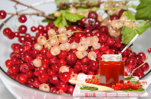 Porzeczki w słoiku – 5 genialnych przepisów na domowe przetwory!