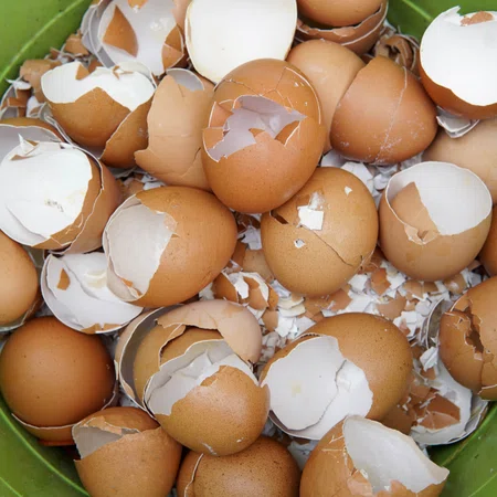 4 genialne zastosowania skorupek z jajek. Nigdy ich nie wyrzucaj!