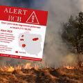 Czerwony alarm w polskich lasach! Które regiony są najbardziej zagrożone?