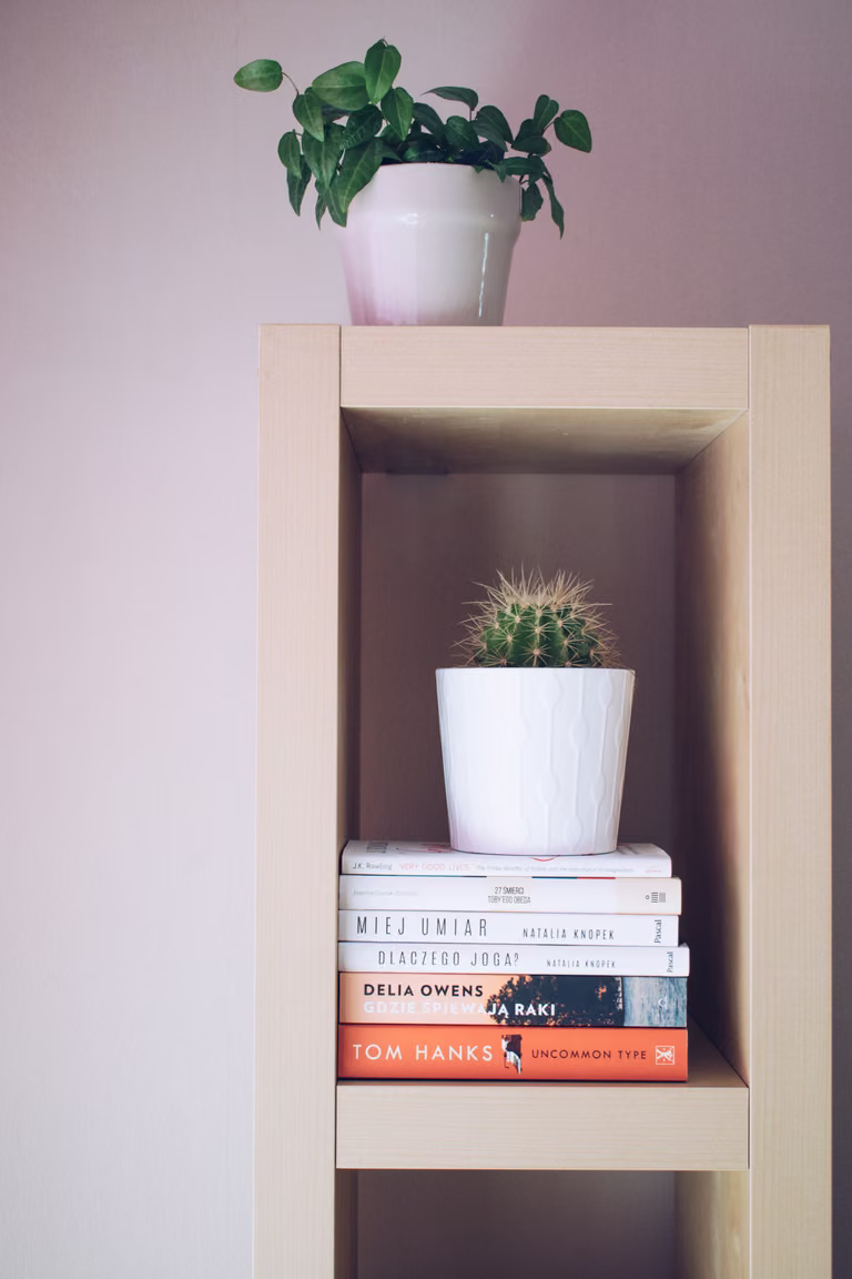 My 2020 reading list | lista książek, które chciałabym przeczytać w tym roku