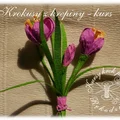 Krokusy z krepiny - DIY