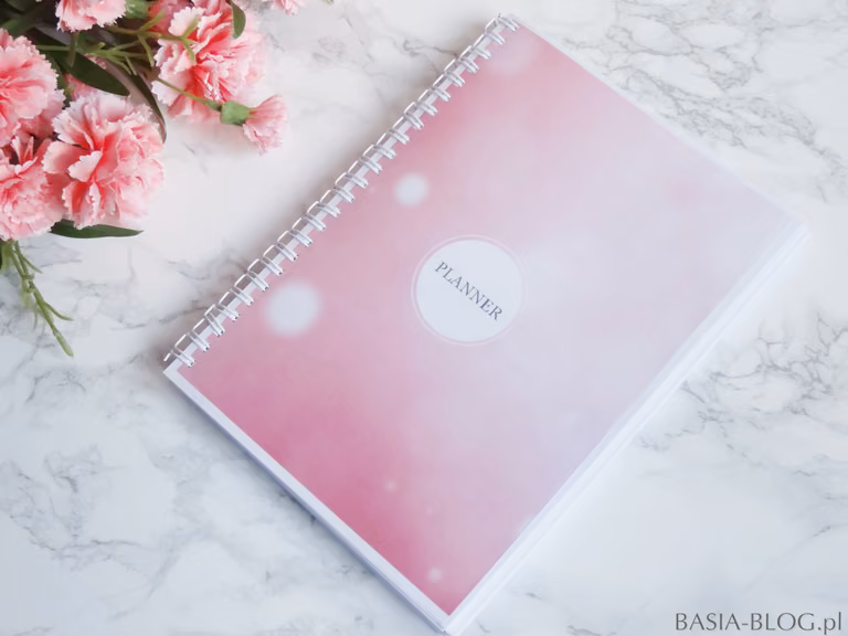 DIY planner/organizer