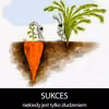 Sukces...