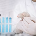 Światowy Dzień Zwierząt Laboratoryjnych: Refleksja nad Etyką i Alternatywami