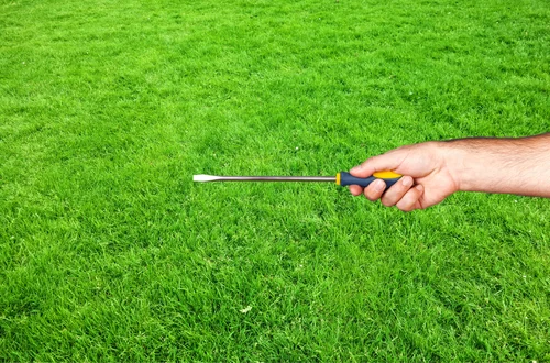 Uratuj swój trawnik! Tajemnicza Metoda z Użyciem Śrubokręta!