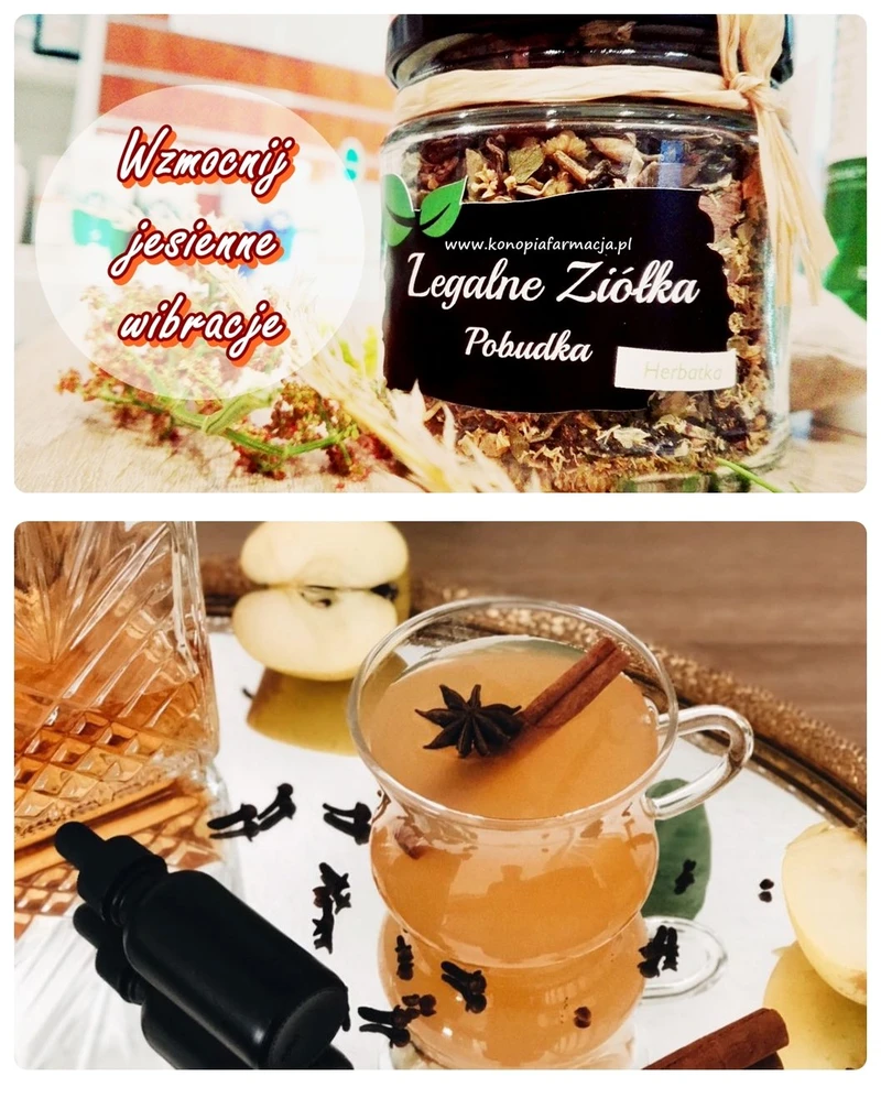 Energetyczny kop - herbata konopna Pobudka  z cynamonem