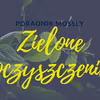 Rośliny oczyszczające powietrze – oficjalny przewodnik (+Infografika!)