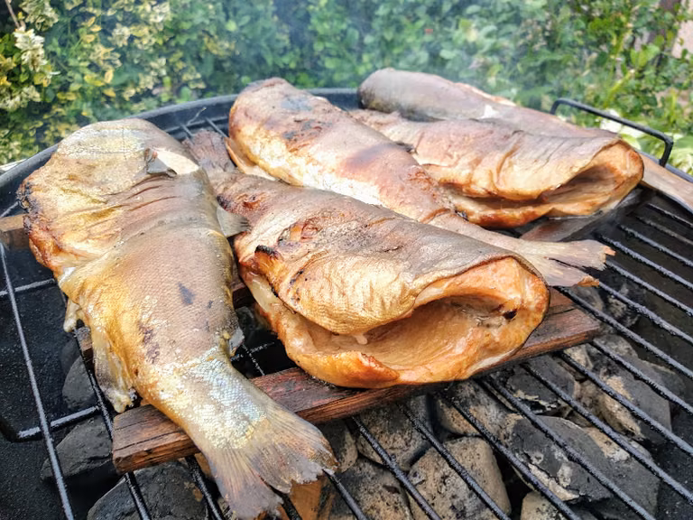 Pstrąg z grilla na drewnie bukowym