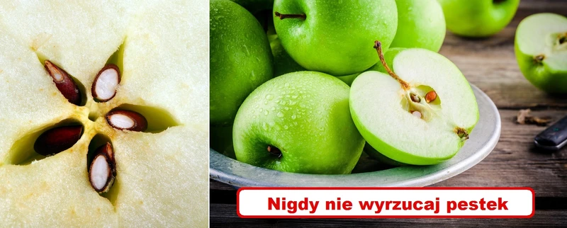 Poznaj niezwykłą moc PESTEK JABŁEK!